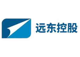 Far East Holding Group